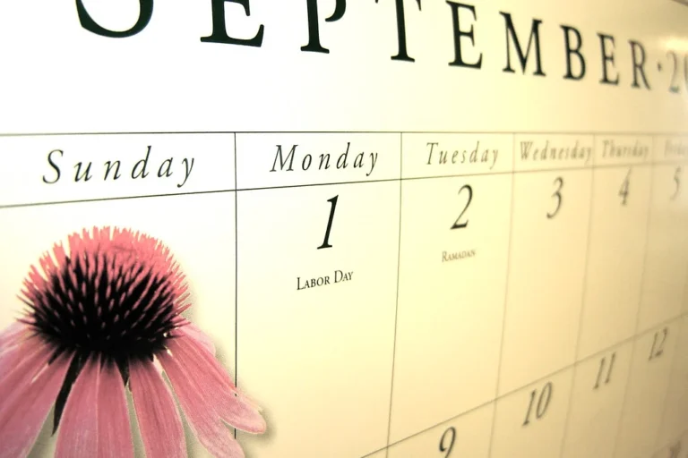 Calendar page used to plan SASSA grant payment dates for November 2026