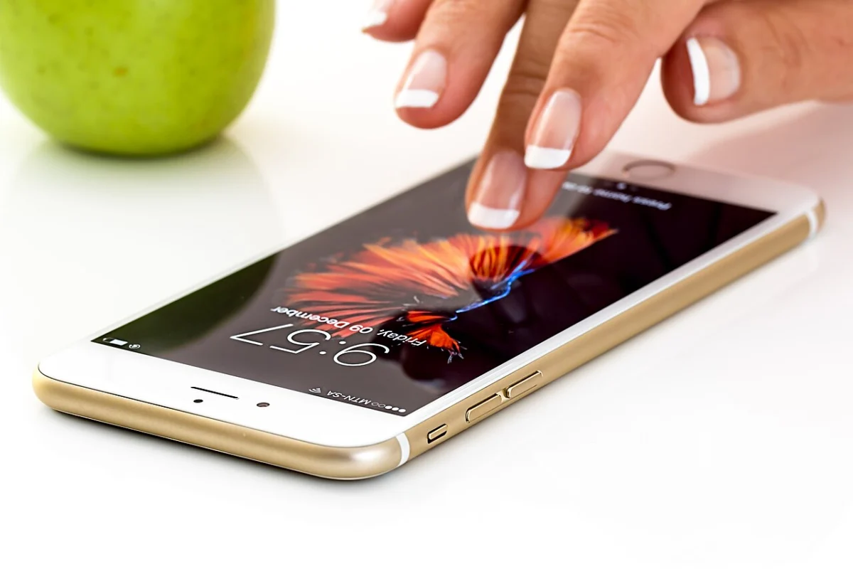 Hand using a smartphone to check SRD grant status online